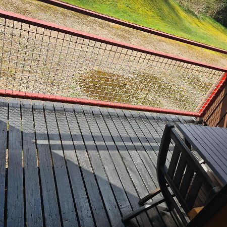 Studio A Xonrupt Proche Du Lac 外观 照片