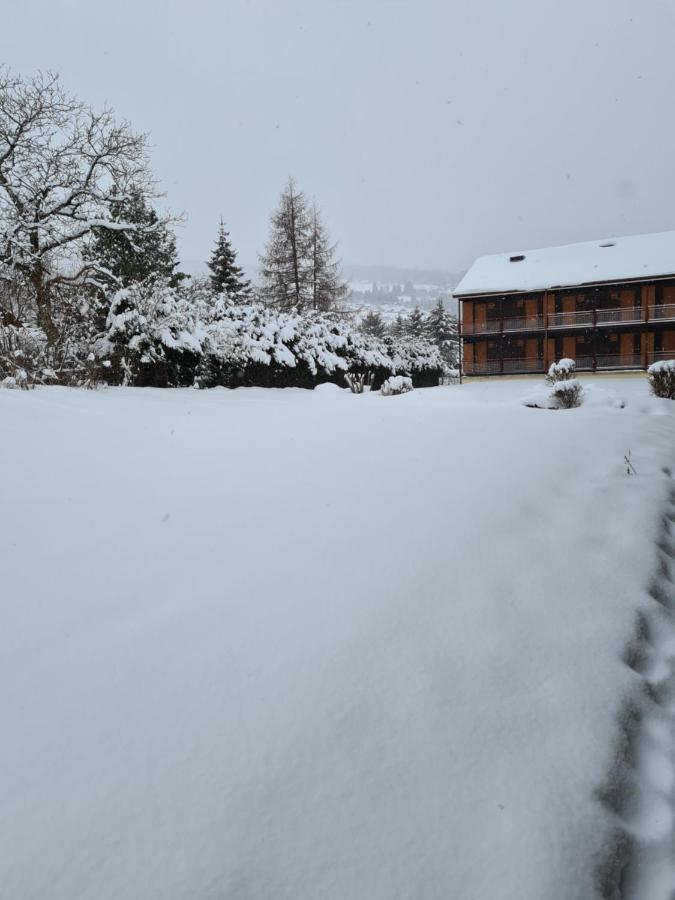 Studio A Xonrupt Proche Du Lac 外观 照片